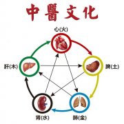 四柱算命免費(fèi)精批八字算命