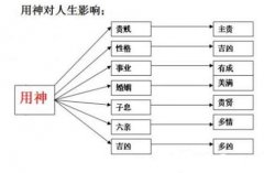 有高學(xué)歷的四柱與面相