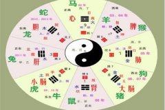 四柱預(yù)測學(xué) 第二十一節(jié) 十神旺衰