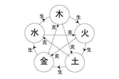 四柱合婚 項(xiàng)目 和合與互補(bǔ) 互有助益 大運(yùn)流年 用神選取