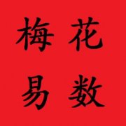 梅花易數(shù)吧